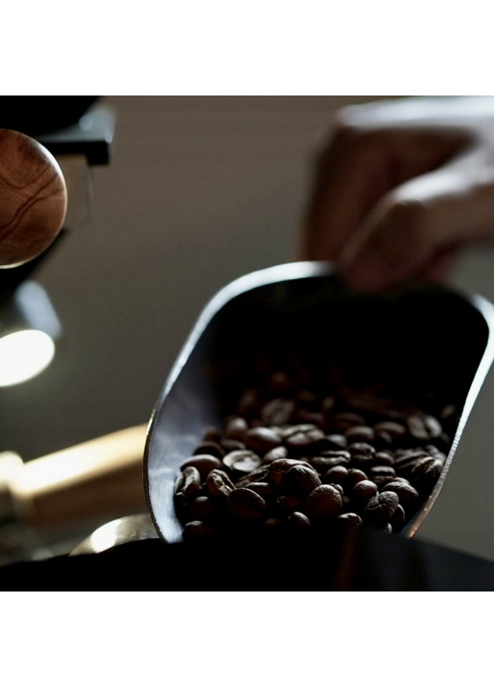 WINTER winter WINTER • 辻本咖啡